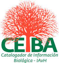 Esta imagen tiene un atributo ALT vacío; su nombre de archivo es descargar.jpg